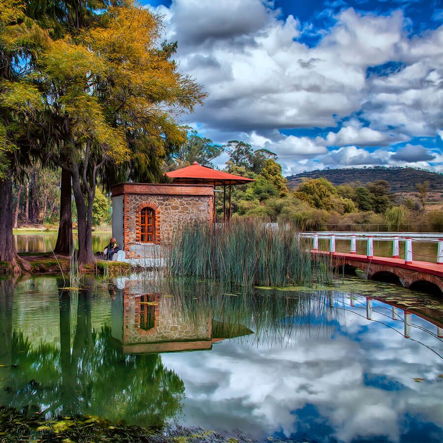 Xochimilco 2